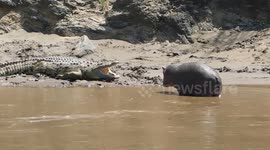 Safari Trip to Africa Kenya & Tanzania 2017 ( Crocodile & Hippo )