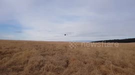 Royal Marines Helicopter shot across our heads on dartmoor