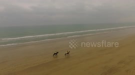 Drone footage of horses trotting on sandy Benone beach in Co Derry