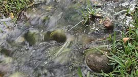 Water Flow