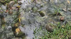 Water Flowing