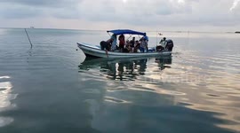 Tourists feeding giant fish