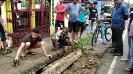 Touching moment terrified puppies are reunited with mother after getting stuck in drain