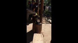 Cheeky monkey plays with stolen water bottle and flipflop