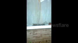 Man films morning aftermath of nightmare neighbours' reign of terror