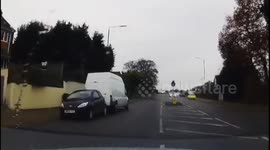 Bird crash into the car