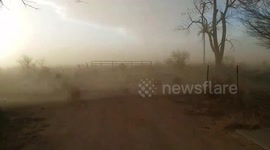 Tumbleweed city at sunset