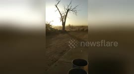 Newsflare Edit - Colorado tumbleweed storm