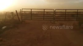 Storm of tumbleweed blasts through Colorado farm