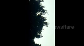 Bizzare ; Holy Baba sleeps on top of Ashok tree in India