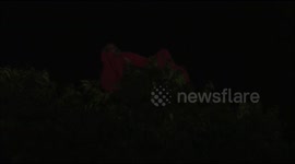 Holy Baba sleeps on top of Ashoka tree in India