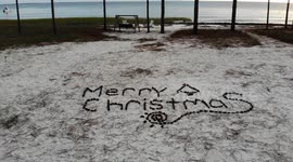 Drone gets tangled in pine tree during Christmas greeting