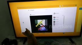 Curious kitten follows chases down 'mouse' on TV