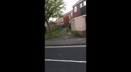 Neighbours fighting in the garden 2