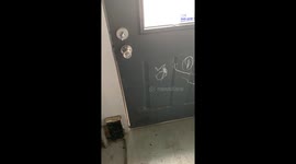 Not what you expect to see when you hear a knock at the door