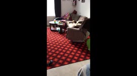 Kitty watches YouTube