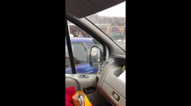 Bird visits engineer every day for lunch