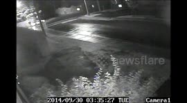 Neighbor Cutting through my Yard Being Chased By The police