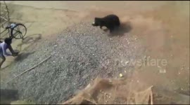 Terrifying moment rogue bear escapes net and rampages through Indian village
