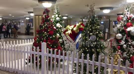 Commuters In Suburban Station Xmas Music