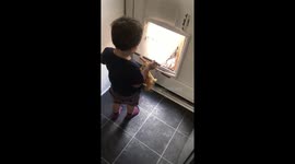 Using a dog flap as a great escape
