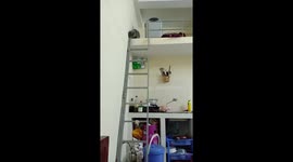 Kitty takes a tumble trying to climb down ladders
