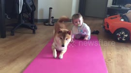 Cute video alert