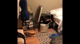 Devastation in home as 7.0 earthquake rocks Alaska