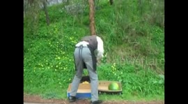 Watermelon Felon