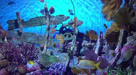 Sealife Bangkok is the largest aquarium in Southeast Asia