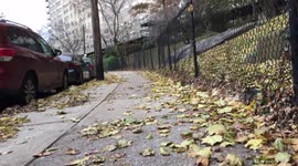 Walking alongside a gate
