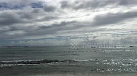 Morning walk into the beach