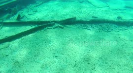 Snorkeling Aruba Shipwreck
