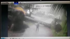 Residents narrowly escape being crushed to death by massive tree during Cyclone Gaja