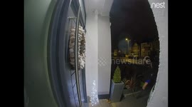 Christmas Wreath Theft caught on Nest Hello Doorbell! Smug Women Stealing.