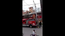 rescate de paloma en poste
