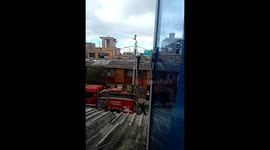 rescate paloma 2