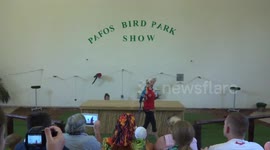Funny parrots and owls in Pafos Bird Park Show (HD)