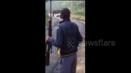 Elephant FLIPS OVER car driving through national park in north India