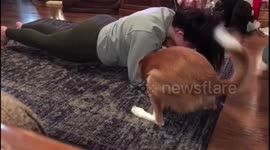 Dog can't stop interrupting owner while she's planking