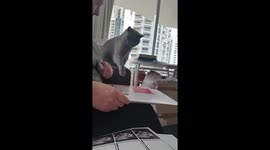 Santa's little helper