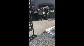 Dog in Stroller