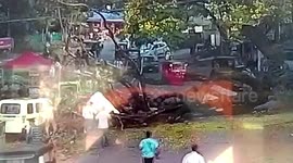 Horrific footage shows tree falling on a moving car