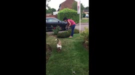 How to separate a shared front garden