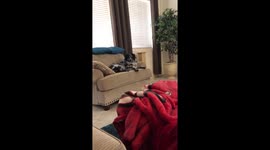 When you’re not getting enough attention