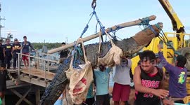 Coastguards trap 15ft man-eater croc using ingenious fishing trap