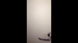 Hahaha mad neighbour https://t.co/ny9DCtx0gq