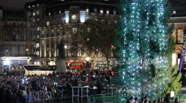 Crowds gather to see the lights come on at the Trafalgar Square Christmas tree