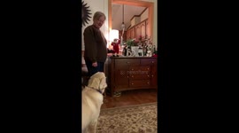 Dog barks at toy Santa after being told he's 'not a good boy'