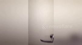 Newsflare Edit - Hahaha mad neighbour https://t.co/ny9DCtx0gq